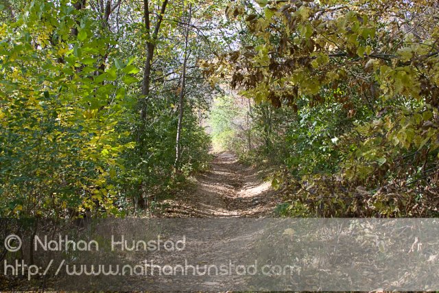 Barn_Bluff_2008-10-18_IMG_2397